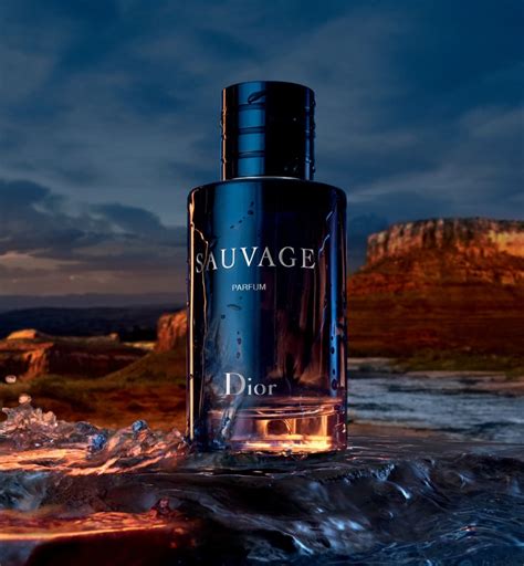 christian dior sauvagerceline|christian Dior Sauvage for women.